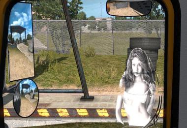 Animated glass sticker for Peterbilt 389 v1.0