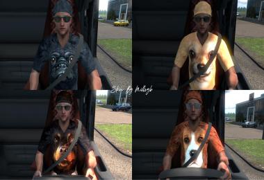 Dog T Shirt Skin Pack 1 For Driver v1.0