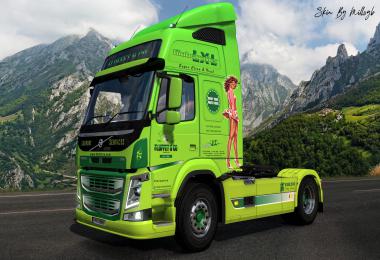 Fluffet & Co Volvo FM Skin v1.0