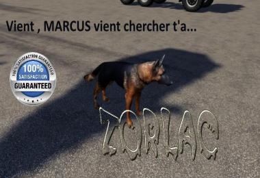 THE MARCUS DOG v1.5