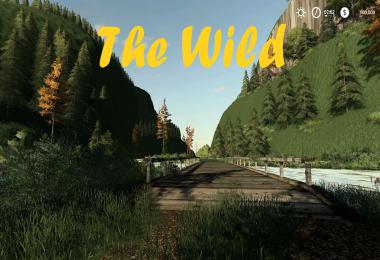 The Wild v001