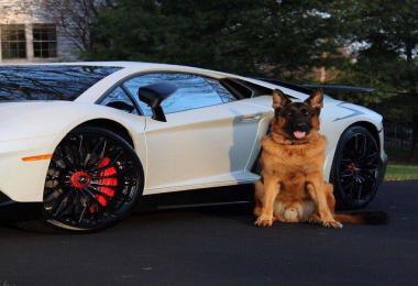 Toyota Land Cruiser 70 v1.0