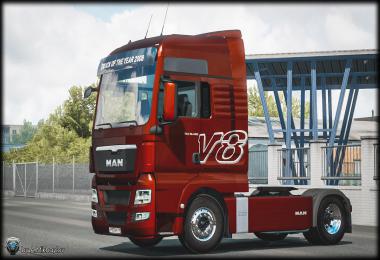 MAN TGX Euro5 V8 Multicolor SkinPack v1.0