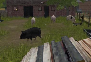 Bockowo 1996 Farming Simulator 17 v1.1