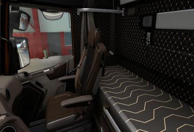 Brown interior for Renault Range T v1.0