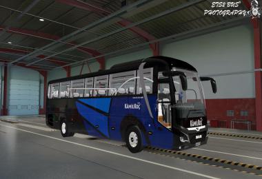 Man Lions Coach Euro 6 1.37