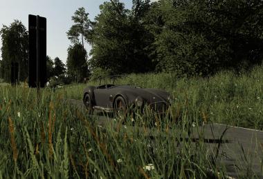 Shelby Cobra v1.0.0.0