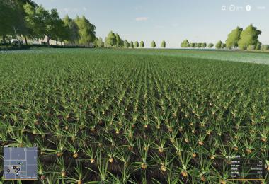 The Homestead v1.0.0.1