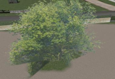 Big tree v1.0.0.0