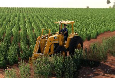 Fazenda Matinha v1.0.0.0