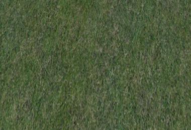 Grass texture v1.0.0.0