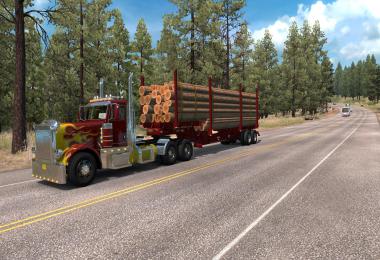 HN Pitts LP40-4L Logger v1.0 1.38.x
