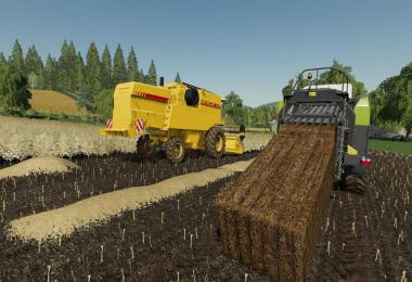 La Coronella v2.0.0.0