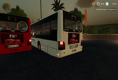 Man Lions Citу v2.0