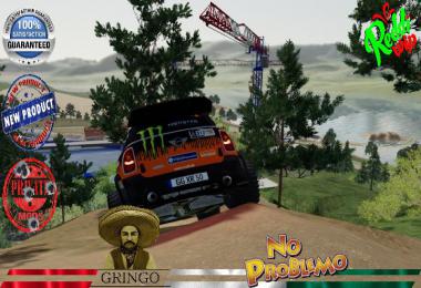 MINI ALL4 312 DAKAR v1.5.0.0