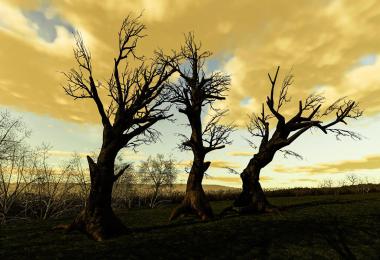 Ancient Tree Pack v1.0.0.0