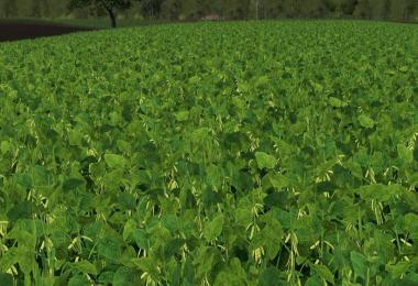 Modified soy texture v1.0.0.0