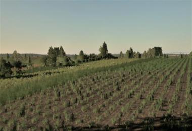 Wola Brudnowska v1.2.0.0