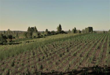 WOLA BRUDNOWSKA v1.2.1