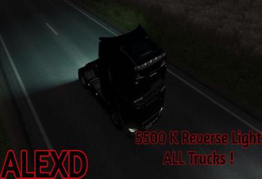 5500K Reverse Lights v1.7 by ALEXD 1.39.x