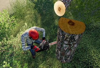 Carbon Chainsaw v1.0.0.0