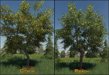 Placeable Fruit Trees Pack v1.0.0.0