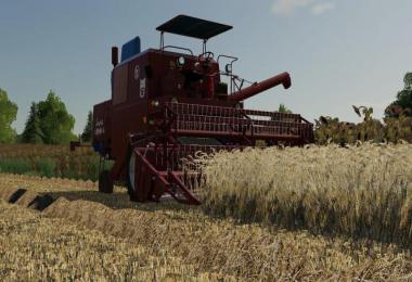 Barley / wheat texture v1.0.0.0