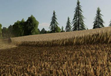 Barley / wheat texture v1.0.0.0