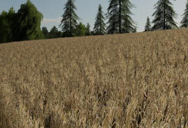 Barley / wheat texture v1.0.0.0