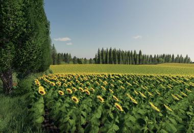 Middle Saxony v1.0.0.0