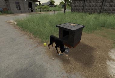 Russian Dog House v1.0.0.0