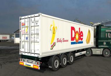 Arnook's SCS Containers Skin Project V7 - 1.39.x