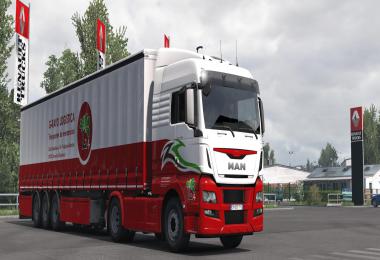 G-Rayo Logistica Skin v1.0