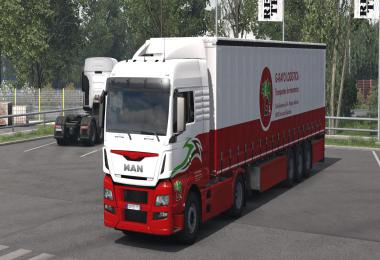 G-Rayo Logistica Skin v1.0
