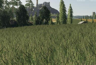 Grass Texture v1.0.0.0