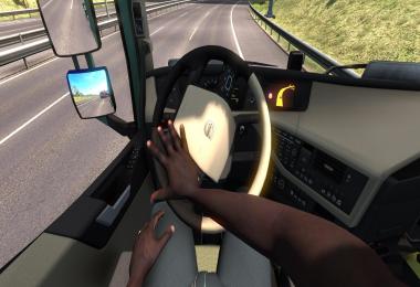 Skins Driver Hands Without Tattoo Two Options 1.39