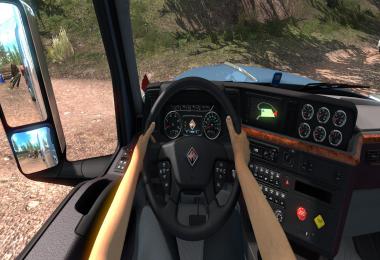 Skins Driver Hands Without Tattoo Two Options 1.39