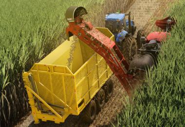 Lizard TASI 22T v1.0.0.0