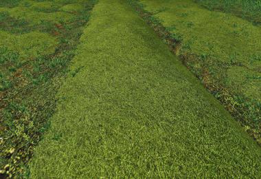 TEXTURE OF STRAW, HAY, GRASS v1.0