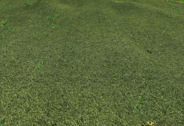 TEXTURE OF STRAW, HAY, GRASS v1.0