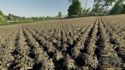 Almostafarm Productions v1.3