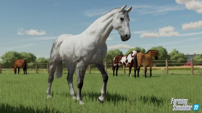 Farm Animals & Wildlife: Trailer & Top 10 Reasons for Animal Husbandry!