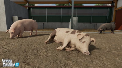 Farm Animals & Wildlife: Trailer & Top 10 Reasons for Animal Husbandry!