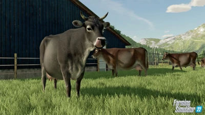 Farm Animals & Wildlife: Trailer & Top 10 Reasons for Animal Husbandry!