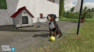 Farm Animals & Wildlife: Trailer & Top 10 Reasons for Animal Husbandry!