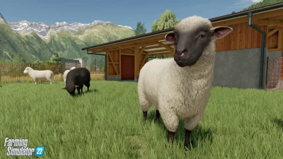 Farm Animals & Wildlife: Trailer & Top 10 Reasons for Animal Husbandry!