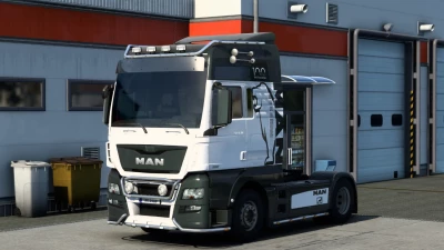 MAN TGX Euro6 Metallic skin v1.0
