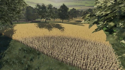 STASIOWA Map v1.0.0.0