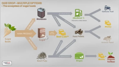 Beet Harvest Addon v1.0.4.0