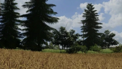 Dense grain texture v1.0.0.0